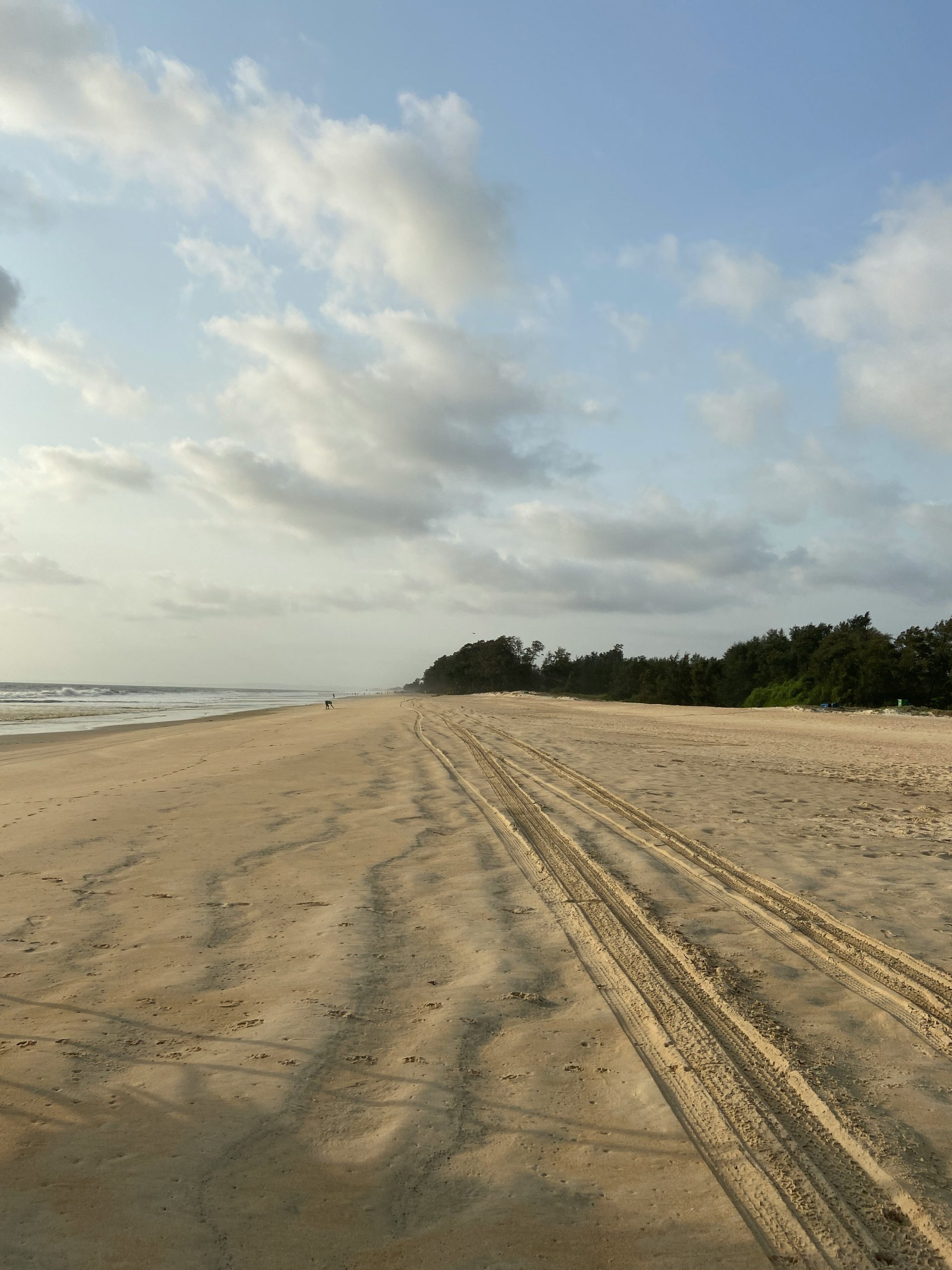 brown sand near body of water during daytime