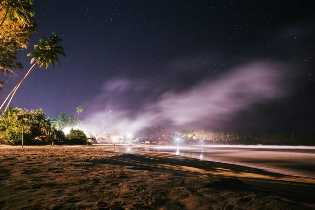 green palm tree near body of water during night time